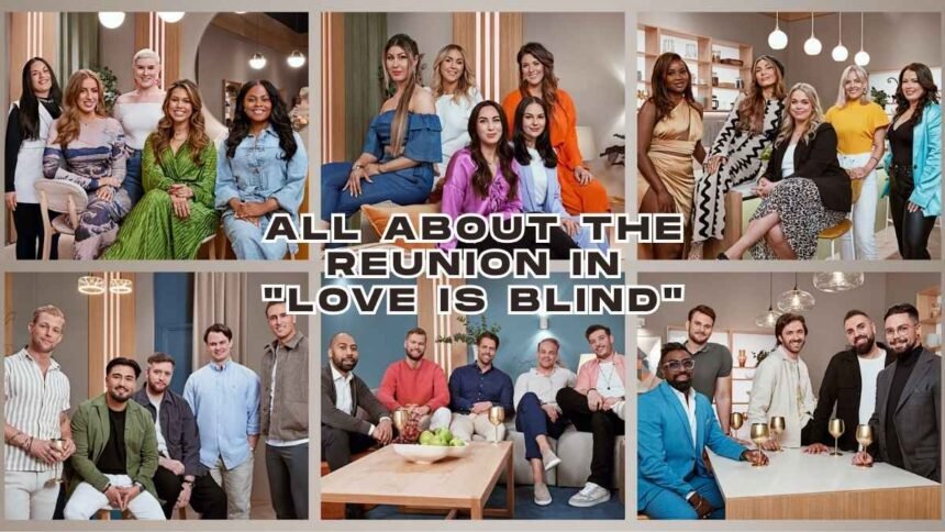 All About the ‘Love Is Blind' Sweden Season 2 Reunion